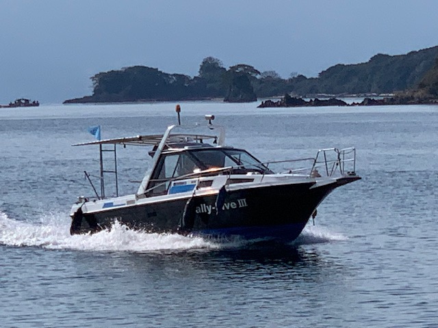 クルージング船の紹介