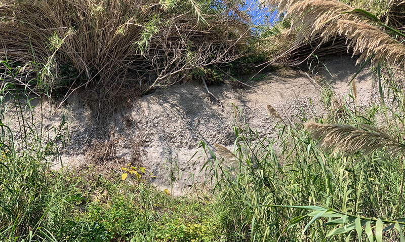 新島(燃島)　(海底が隆起してできた島！)